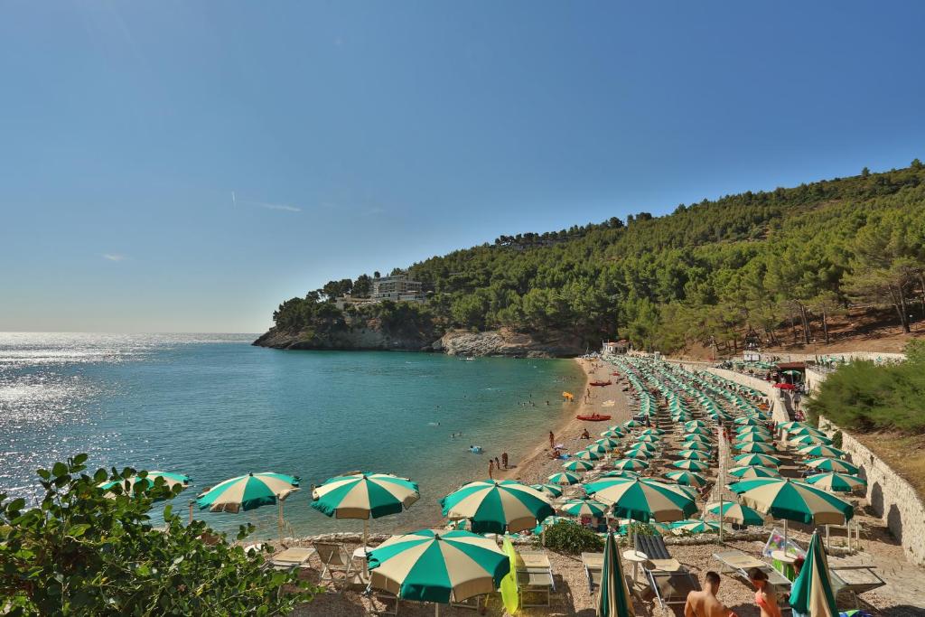Hotel degli Ulivi - 3