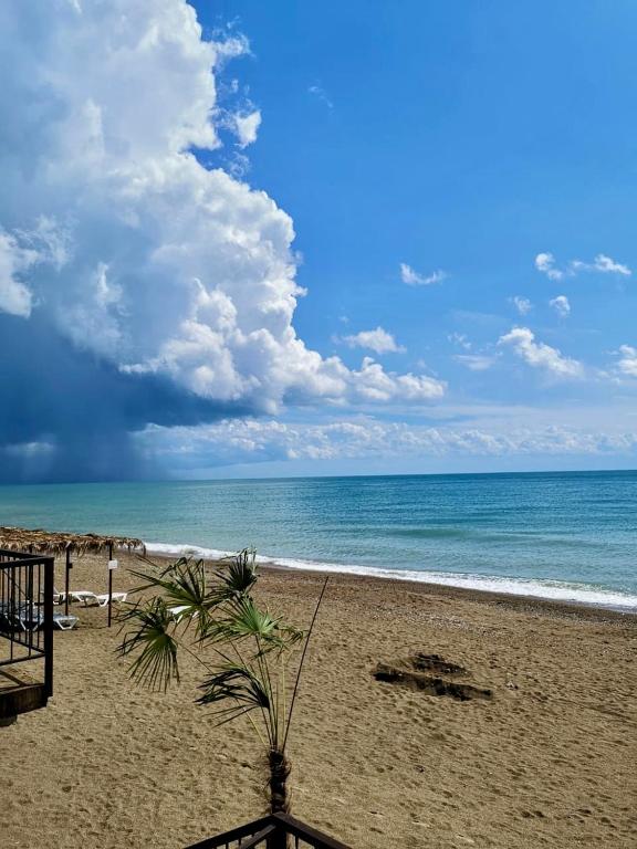 Arbica Pension photo
