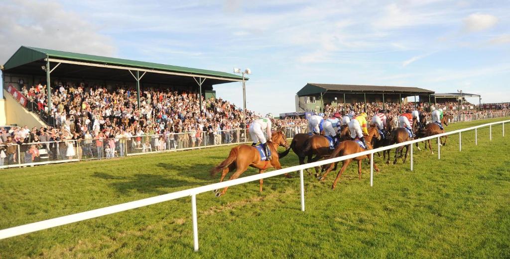 Programlehetőségek