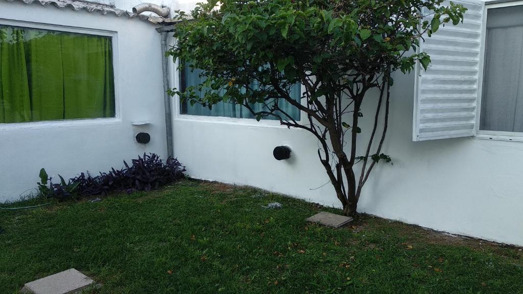 Mysa's home photo