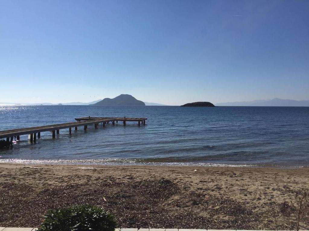 Bodrum Masali Camping photo