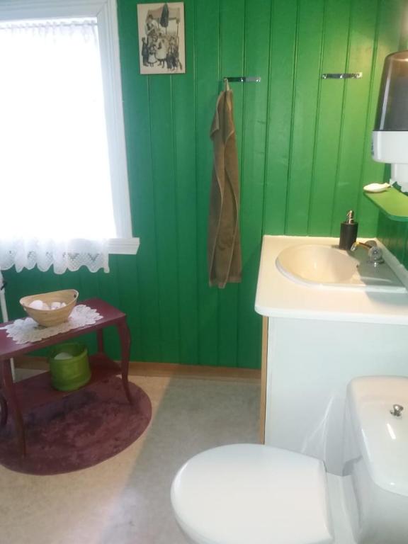 Husey Hostel & Horsefarm photo
