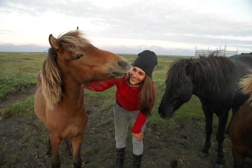 Husey Hostel & Horsefarm photo