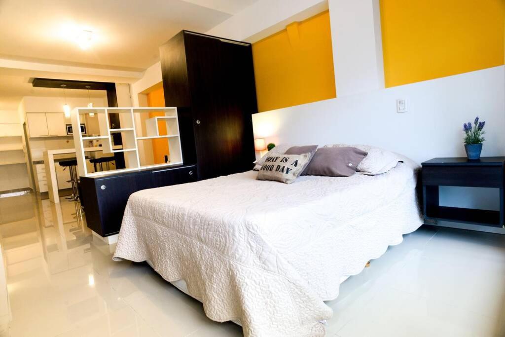 Cozy, lots of light, great location - 4