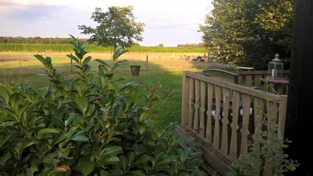 Pipowagen Lidewei Groningen Westerwolde unieke ligging met eigen tuin en vrij uitzicht over veld naa photo