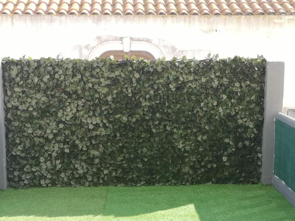 Sao Juliao photo
