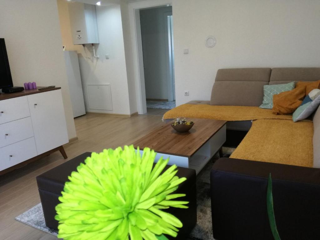 Apartman Medina photo