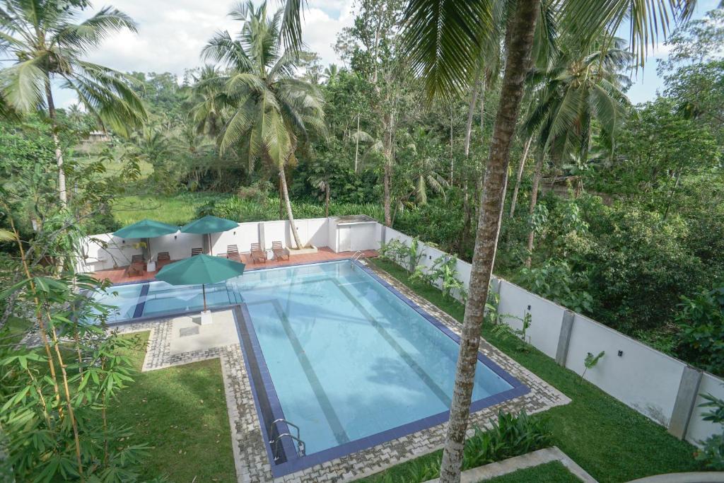 Green Residencies photo