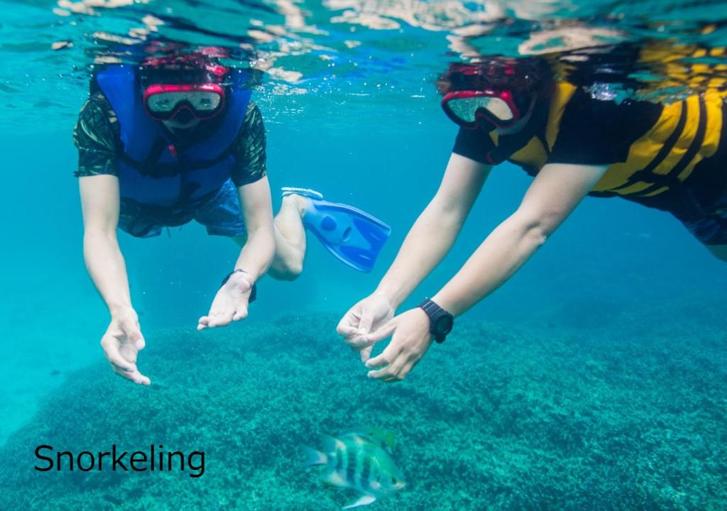 Programlehetőségek