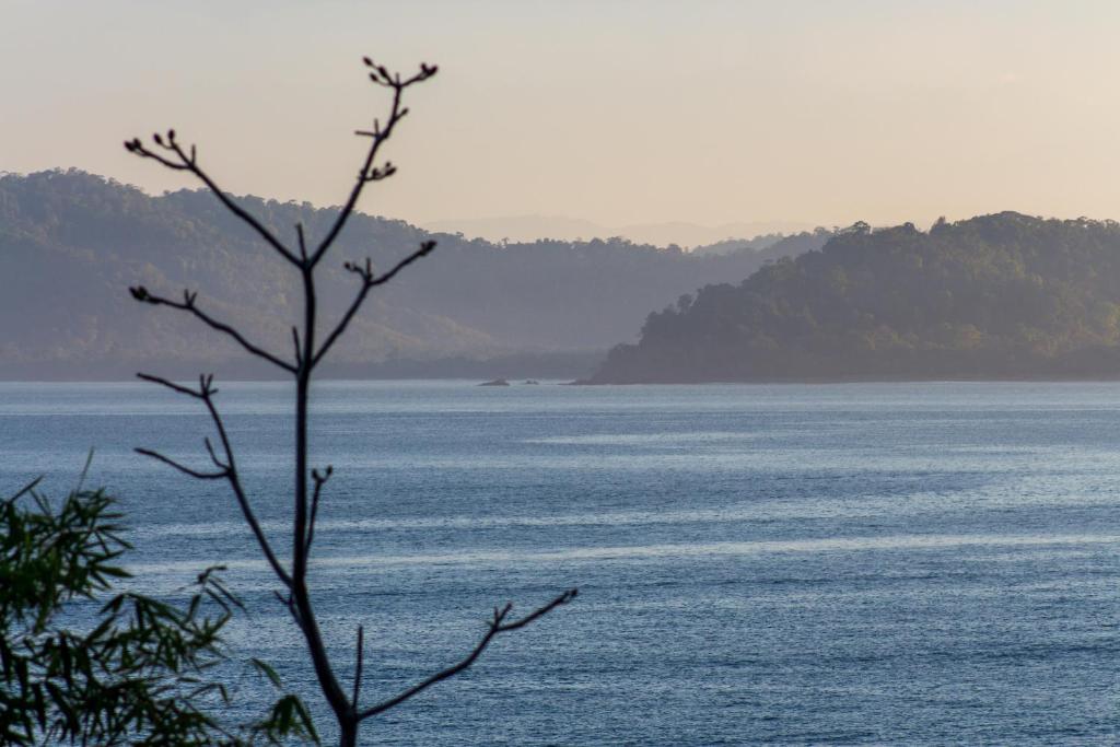 Surrounding environment