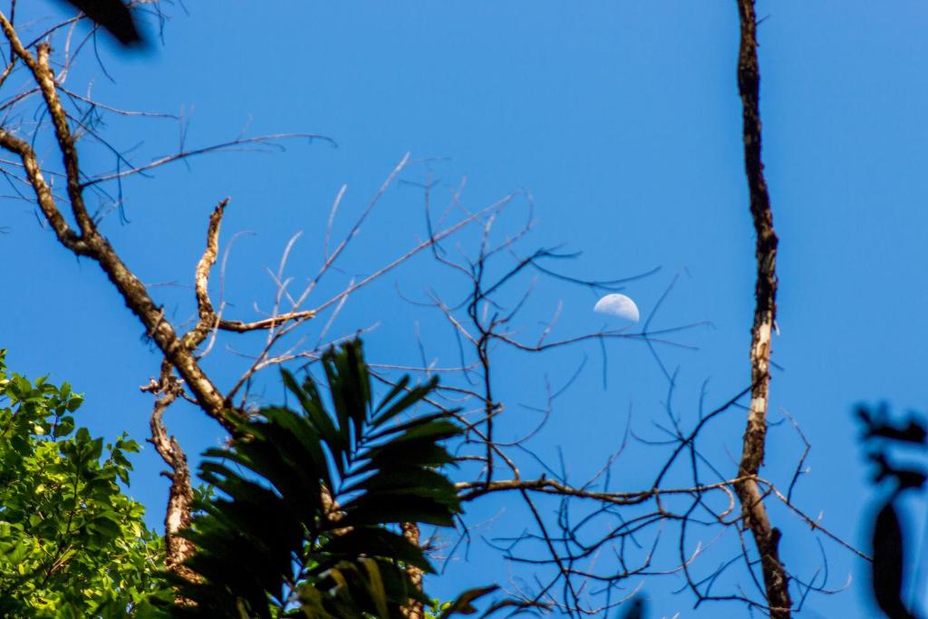 Surrounding environment