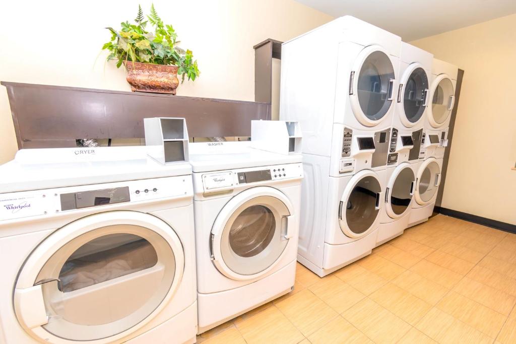 Staybridge Suites Houston Iah - Beltway 8 Photo 43