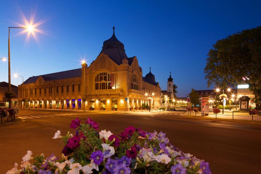 Erzsebet Kiralyne Hotel photo