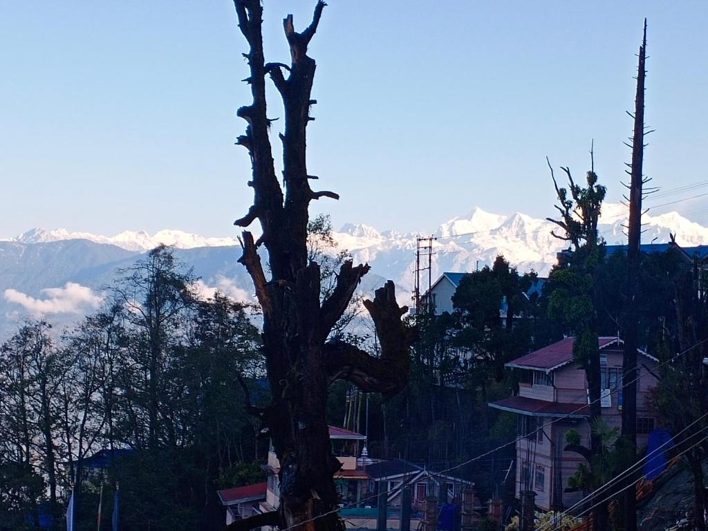 Little Singamari Home Stay photo