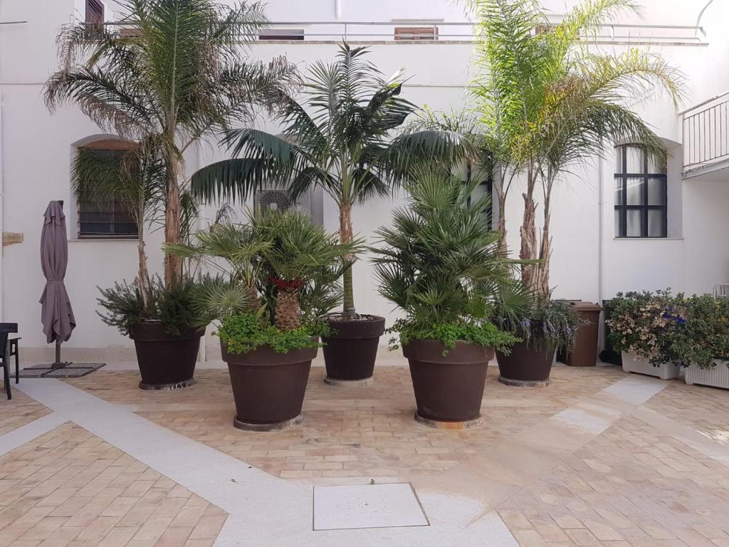Chiostro di S. Antonio - 4