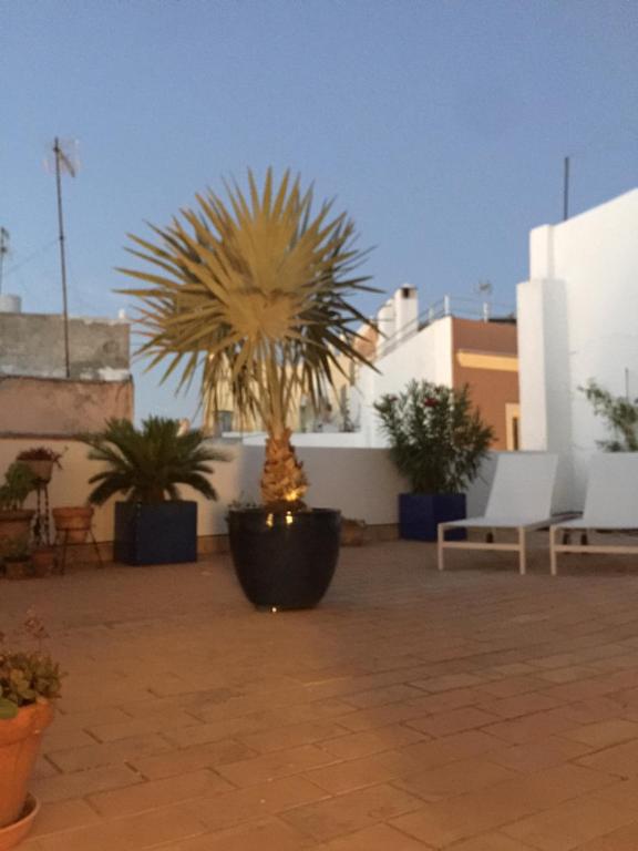 La terraza de San Pedro 전경