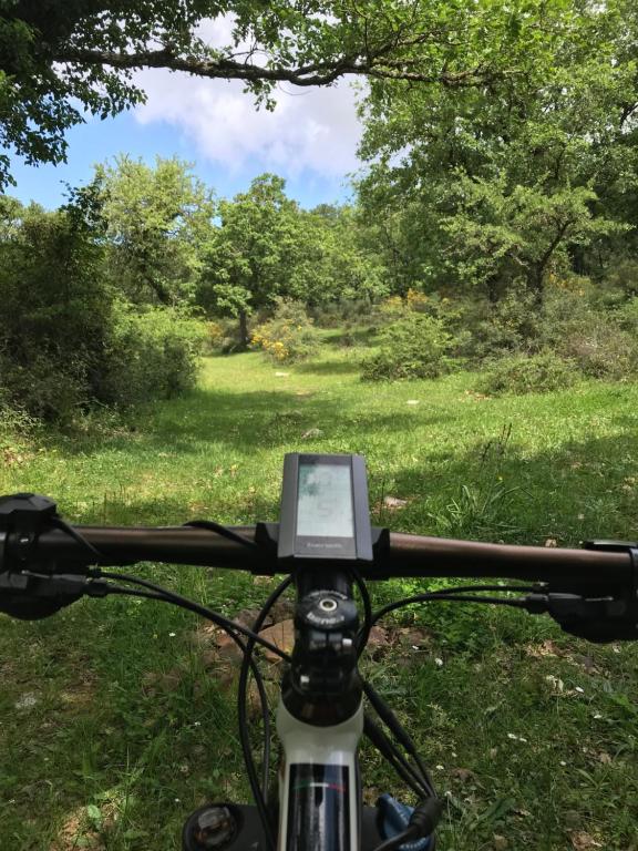 Feudo Galefona photo