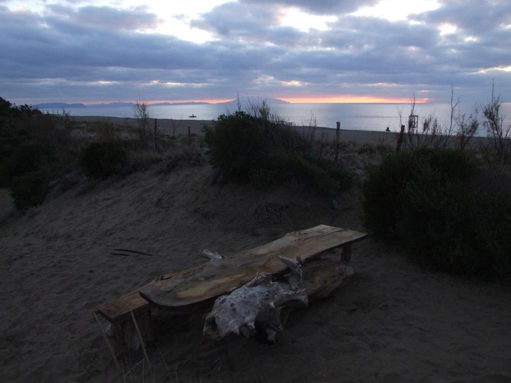 Vacanze Toscane In The Seaside photo