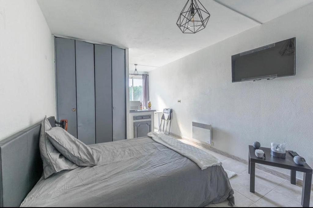 Grand appartement doté d'une terasse avec magnifique vue, Montpellier