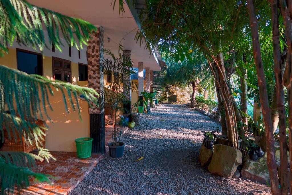 Surrounding environment, Brown Bamboo Guest house & jungle trekking orang-utan in Bukit Lawang