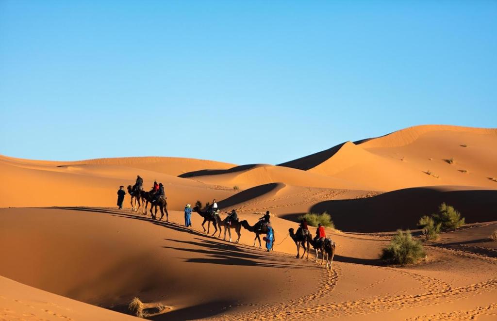 Merzouga luxury desert camps photo