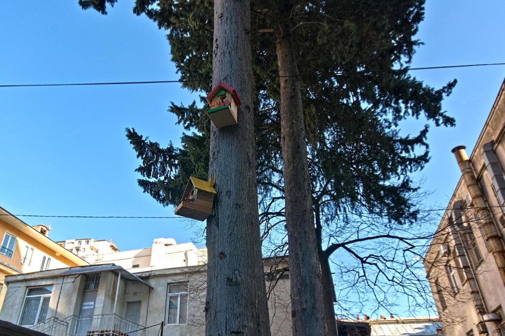 Sakhli at Chavchavadze ave 15 photo