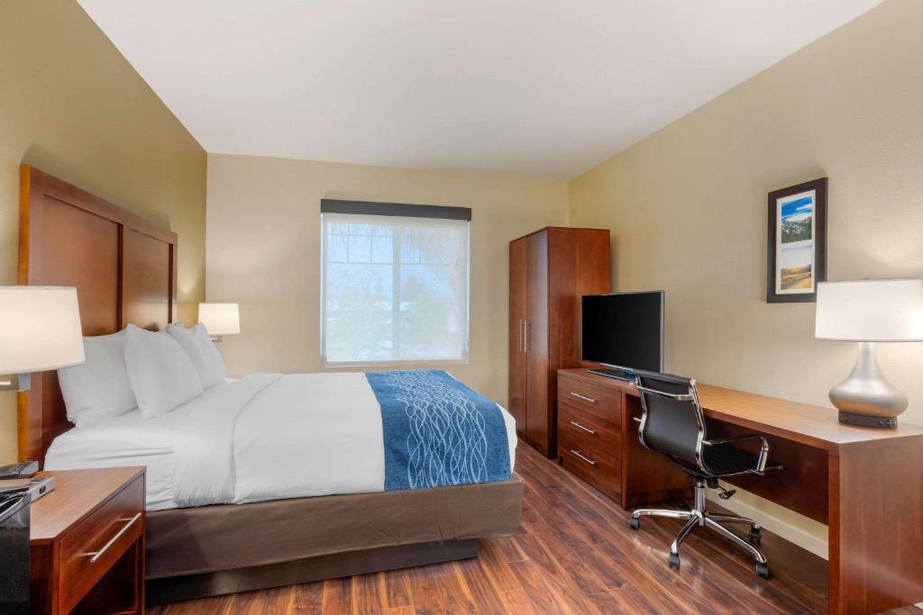 Comfort Inn & Suites Near Ontario Airport Photo 3