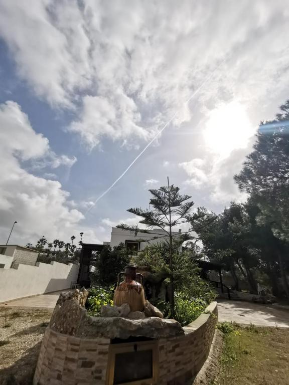 La Casa Nella Pineta - Gallipoli - 4