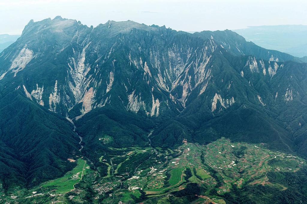 Surrounding environment