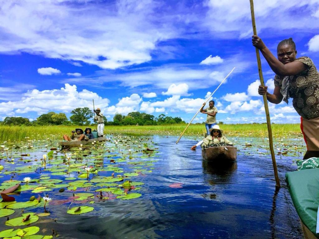 Sports and activities