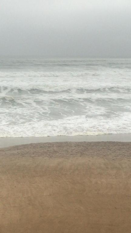 Ocean Pearl Beachfront photo
