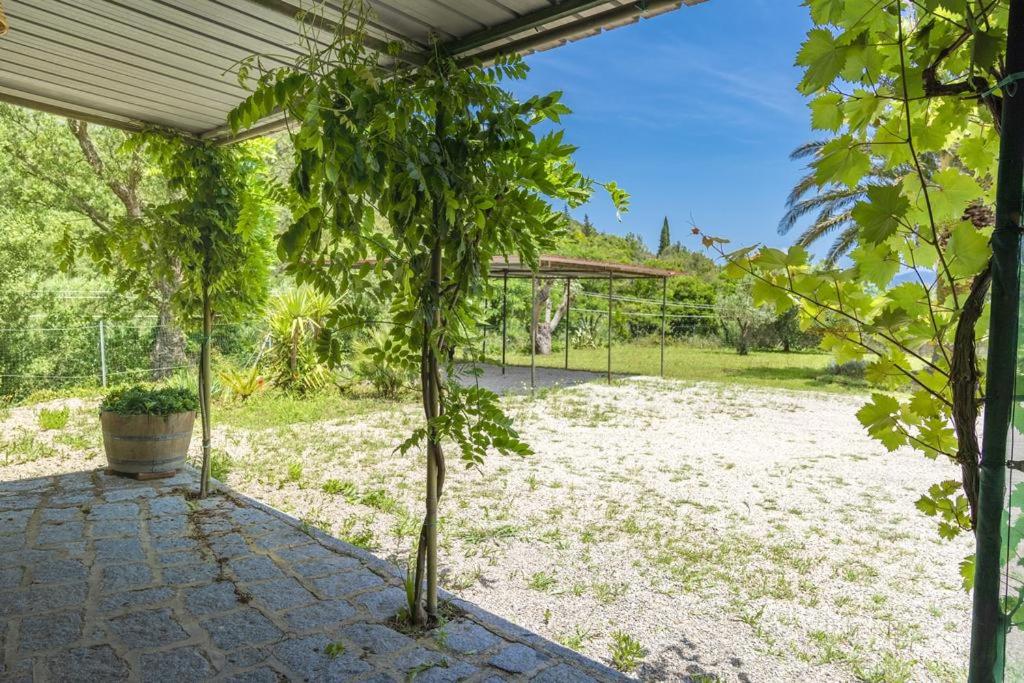 Agriturismo dei girasoli - 2
