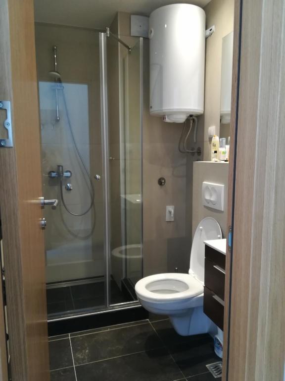 Vila Irina - Studio 15 lux - 5
