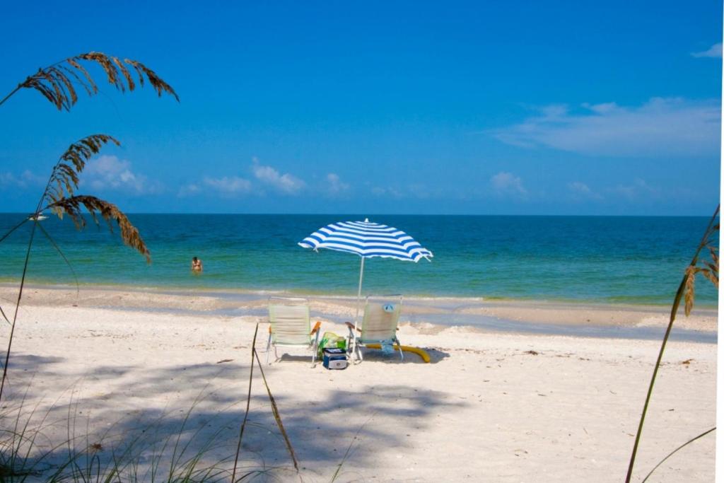 Popular attractions Area Nearby Property