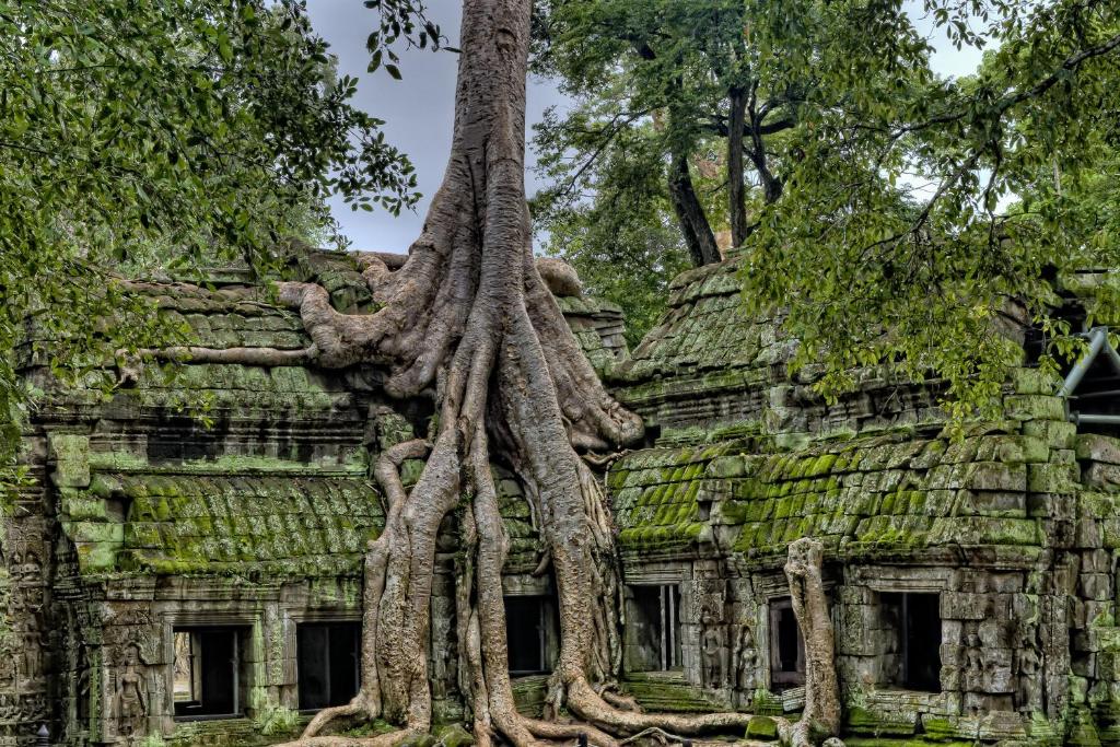 Nearby attraction