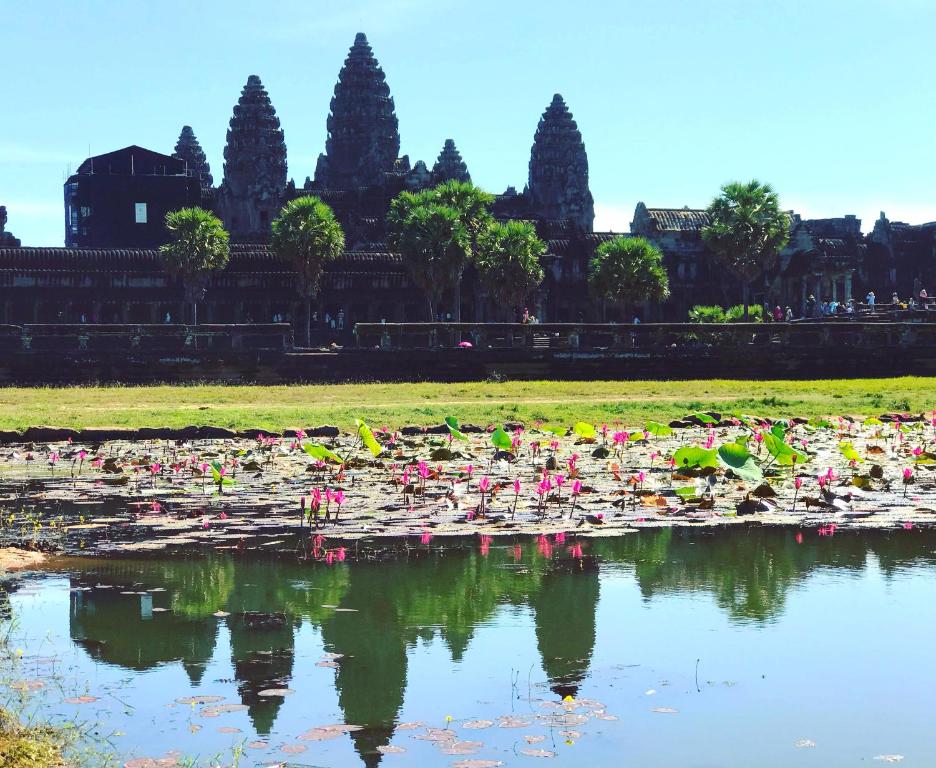 Nearby attraction