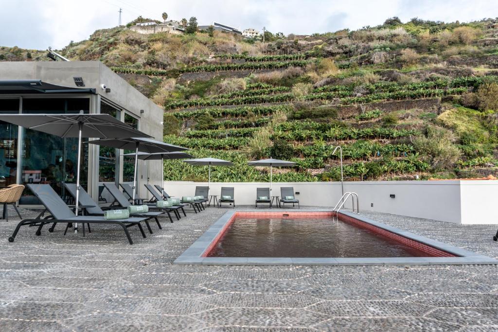 1905 Zino's Palace スイミングプール