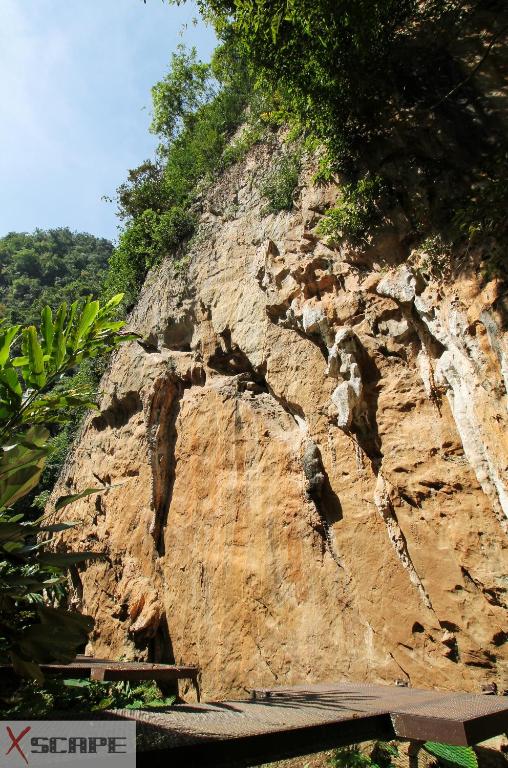 Surrounding environment