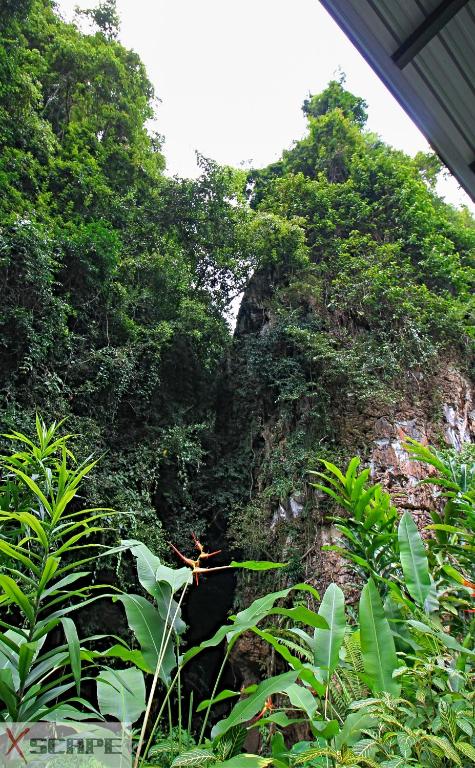 Surrounding environment