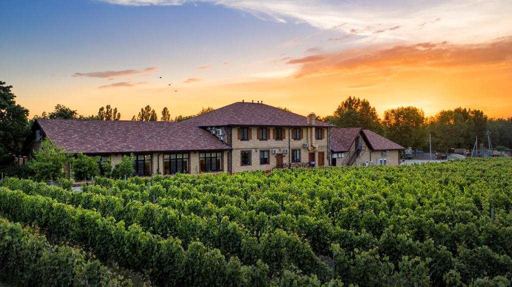 Винотерия семигорье. Винотерия семигорье. Винотерия семигорье. Винотерия семигорье. Винотерия ресторан анапа.