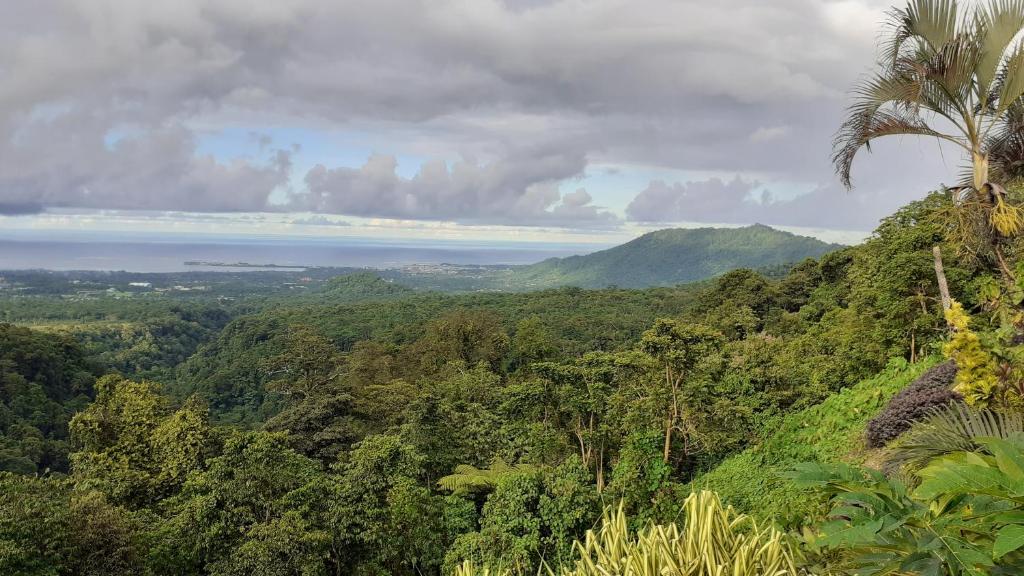 Surrounding environment