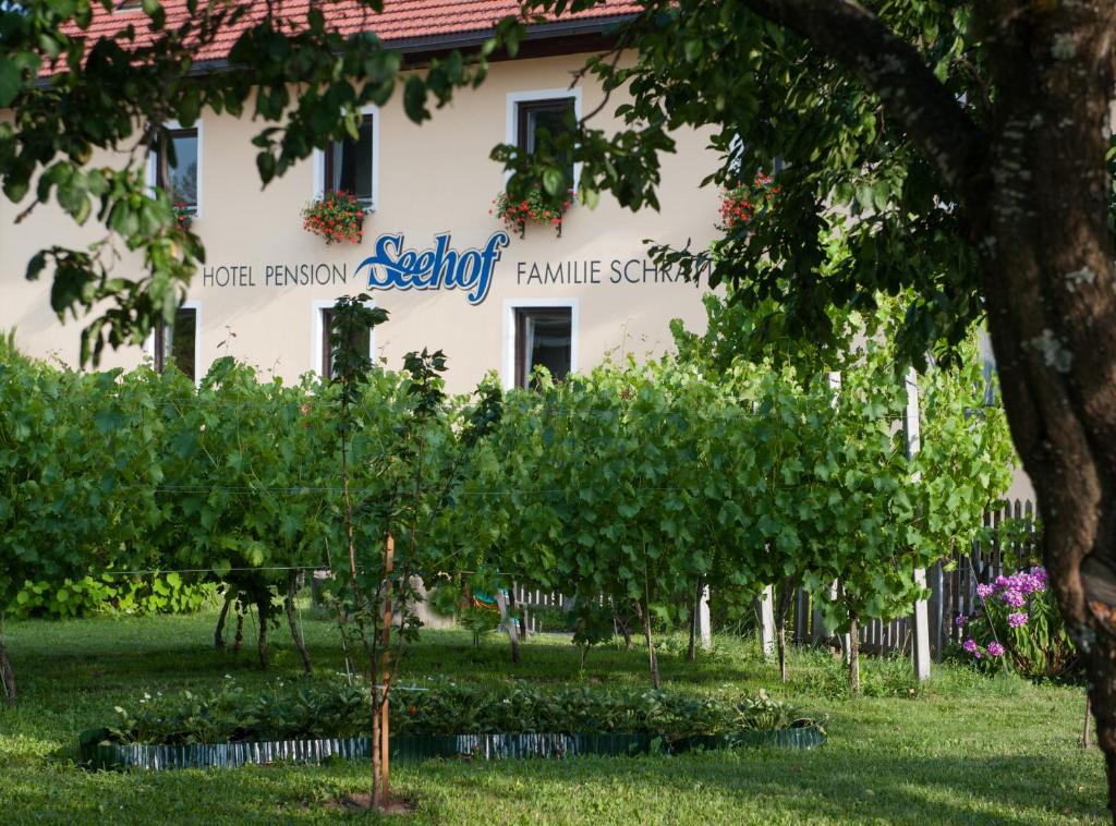 Hotel Seehof - 5