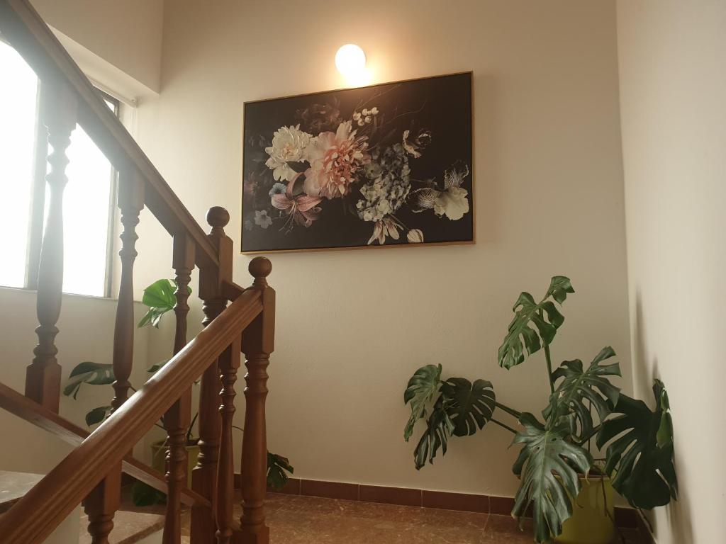 Apartments Dolac photo
