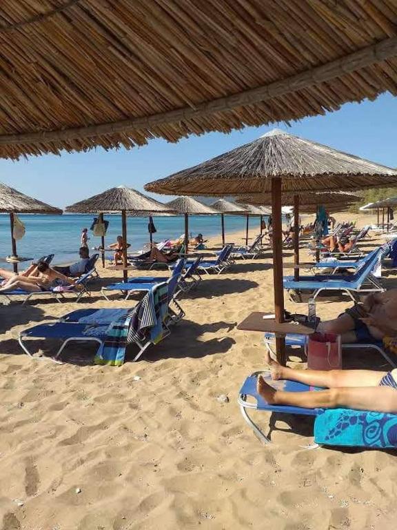 Surrounding environment, Alex - Nancy Apartments - Zaga Beach in Koroni