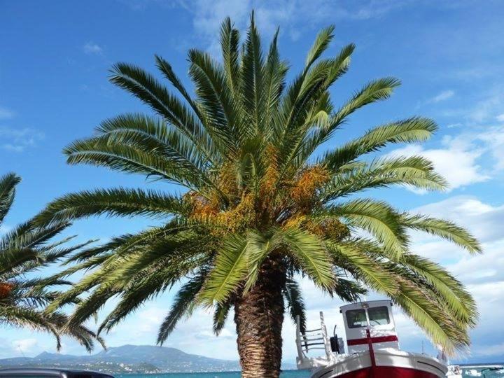 Surrounding environment