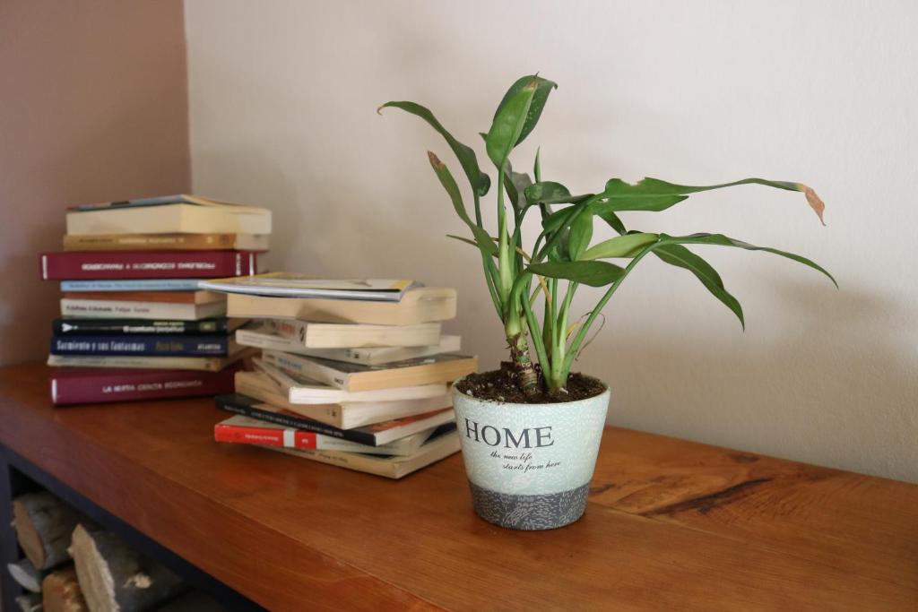 Shared lounge/TV area