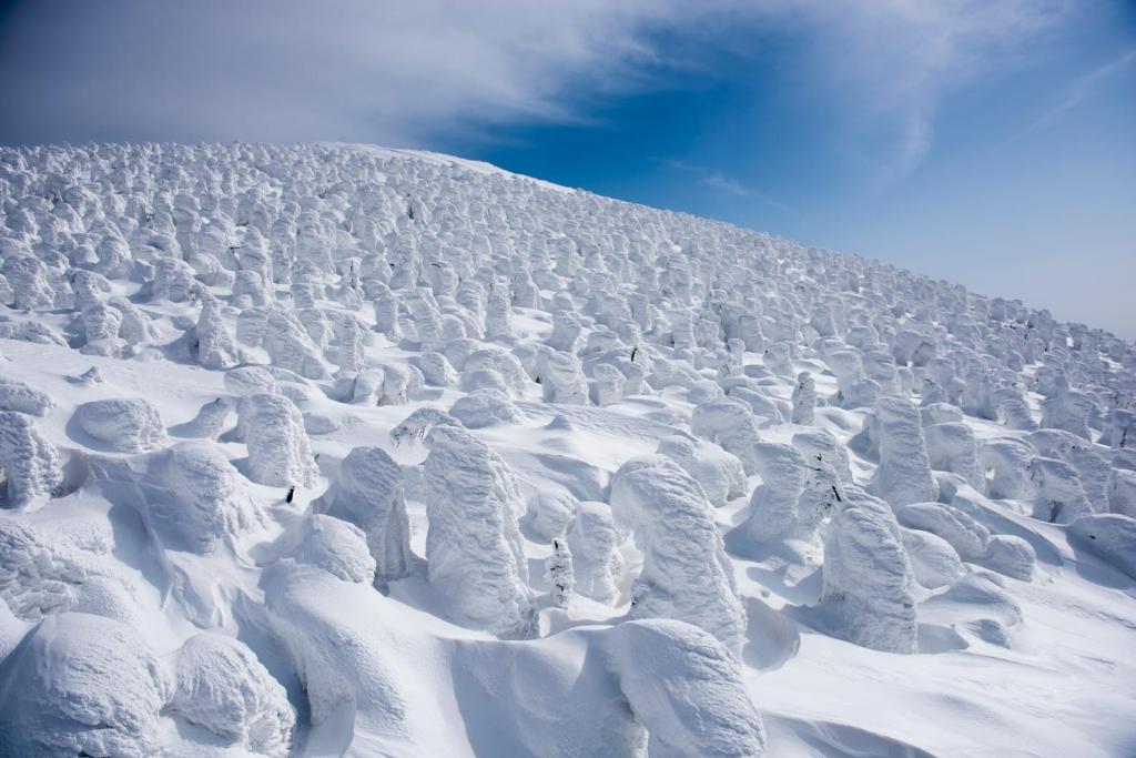 Surrounding environment