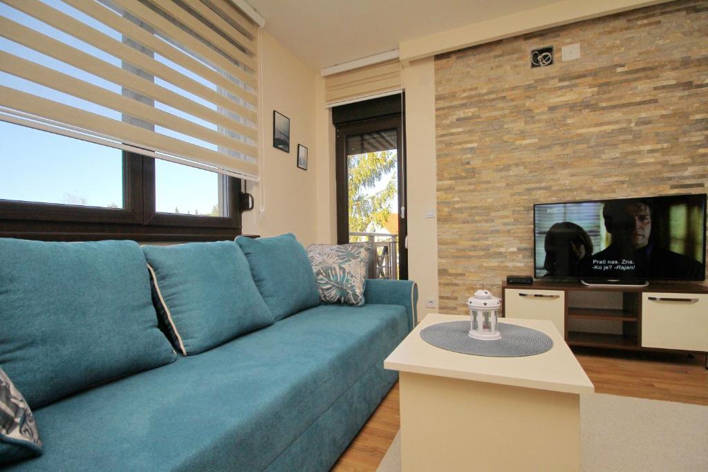 Apartment Lazarevic II - 3