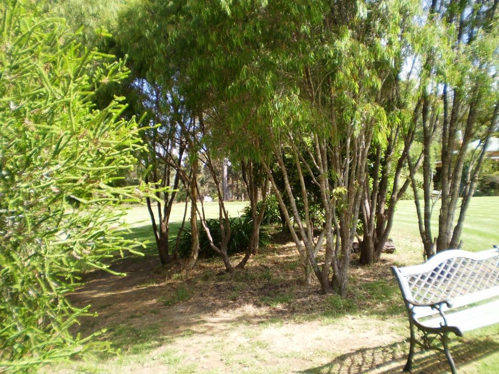 Pinda Lodge photo