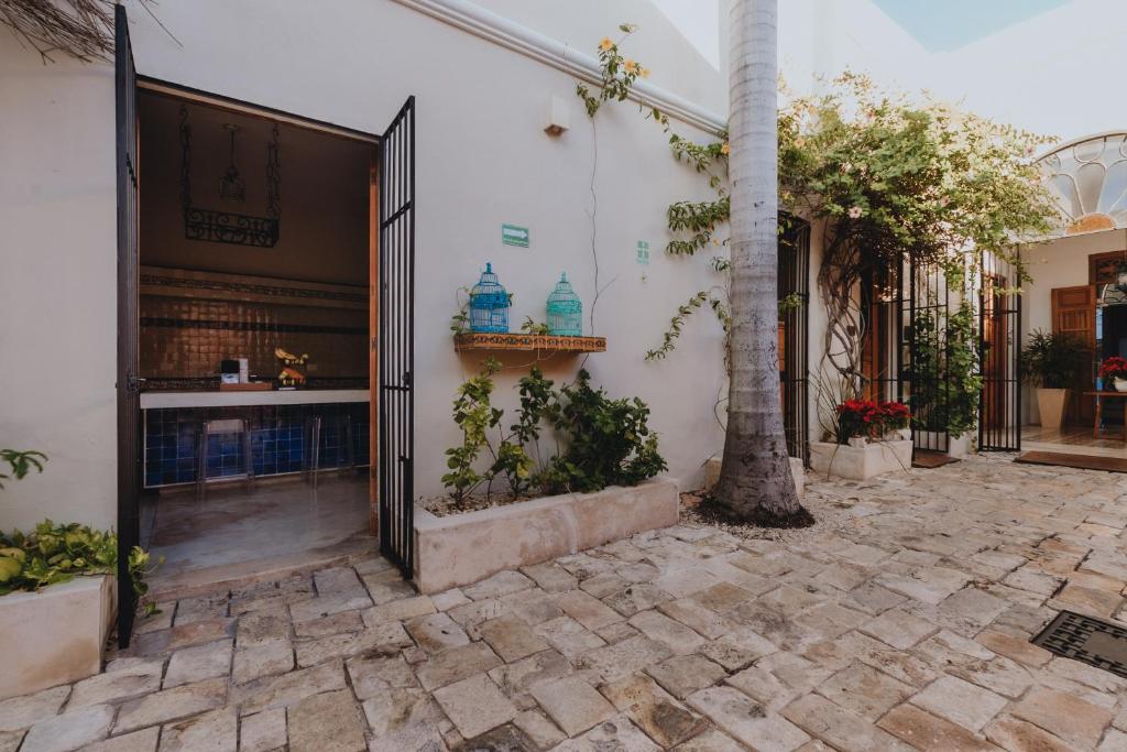 Kitchen, Casa de Las Palomas by Sercotel                                                  in Merida